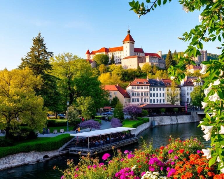 Ljubljana: groen en gastvrij in het hart van Slovenië